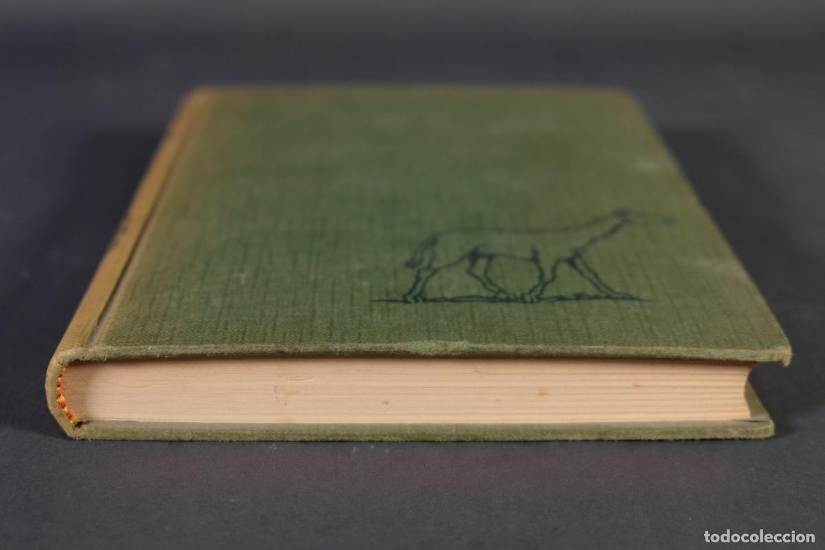 Libros de segunda mano: Animales del pasado - Richard Ogle - Ed.Nereo, 1963 - Foto 4