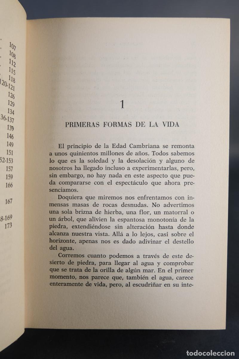 Libros de segunda mano: Animales del pasado - Richard Ogle - Ed.Nereo, 1963 - Foto 6