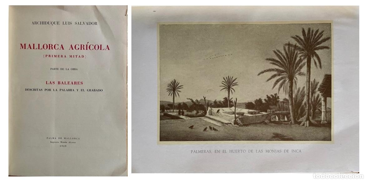 Libros de segunda mano: MALLORCA AGRICOLA- ARCHIDUQUE LUIS SALVADOR- PALMA- 1959