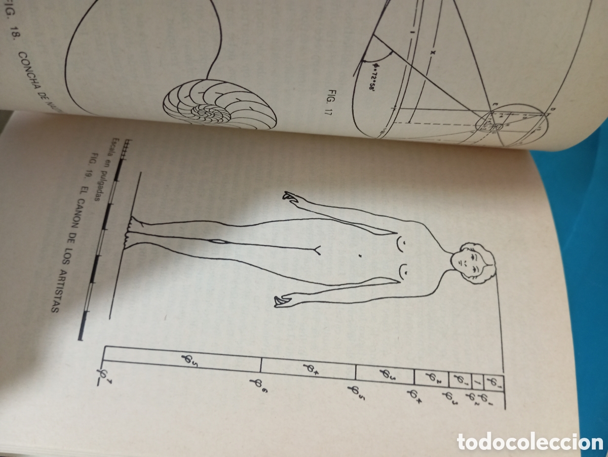 Libros de segunda mano: El poder m&aacute;gico de las pir&aacute;mides. Max toth y greg nielsen - Foto 6