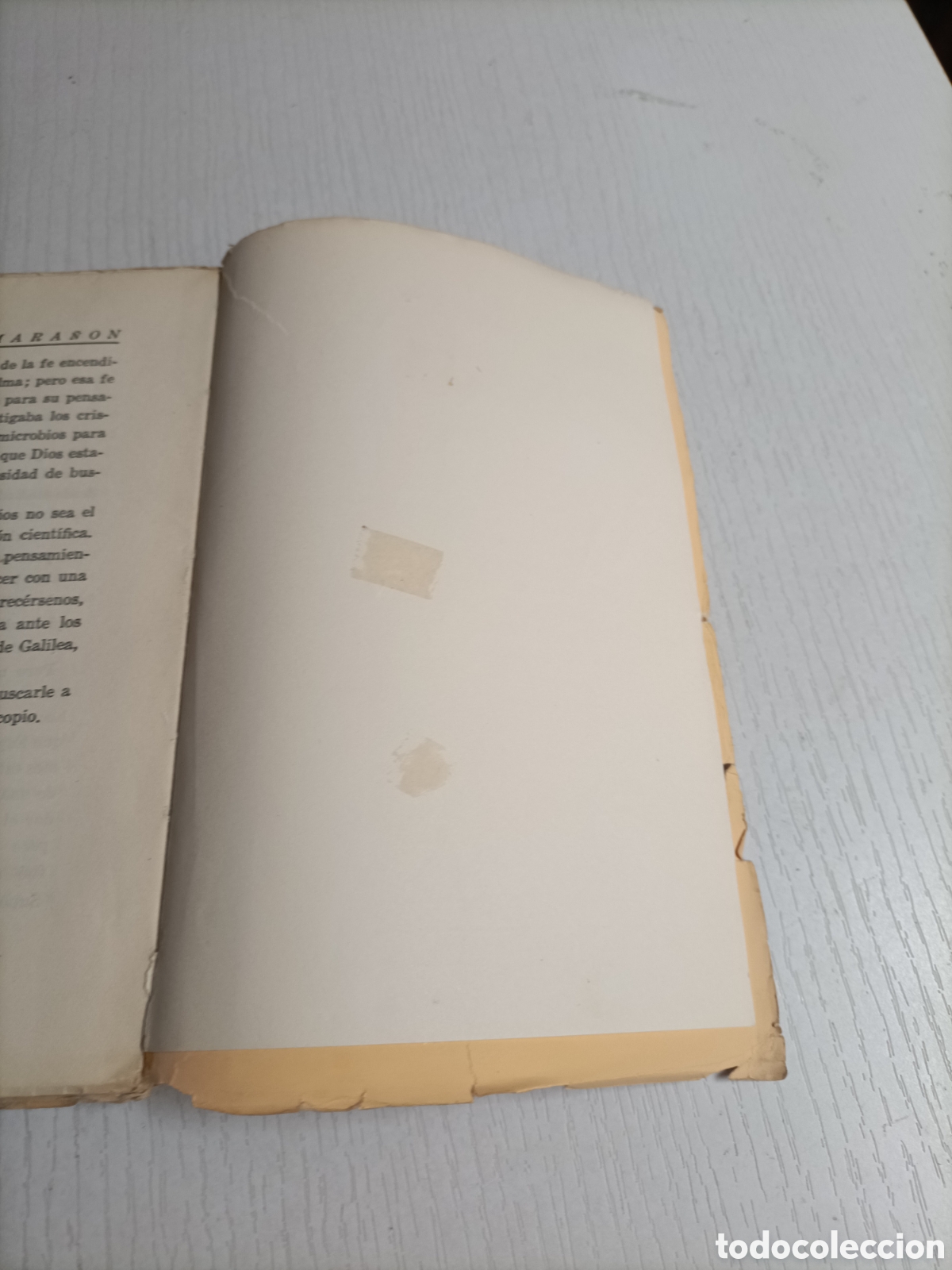 Libros de segunda mano: Ra&iacute;z y decoro de Espa&ntilde;a Gregorio Mara&ntilde;&oacute;n. Espasa Calpe 1933 - Foto 11
