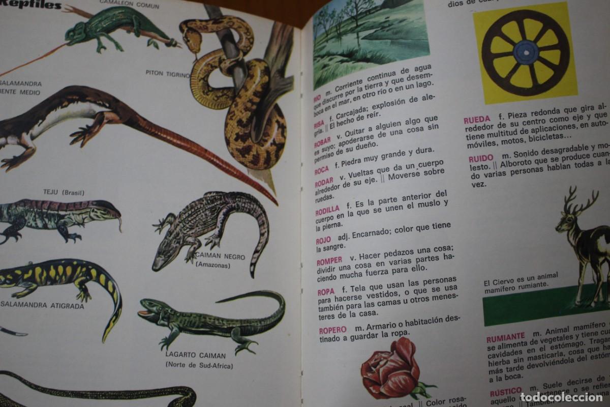 Libros de segunda mano: Diccionario infantil ROMA. - Foto 9