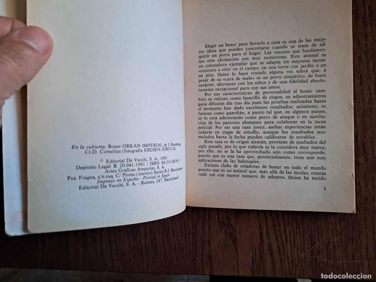 Libros de segunda mano: libro usado, El boxer, Philippe Rubin, editorial De Vecchi. a&ntilde;o 1981. - Foto 2