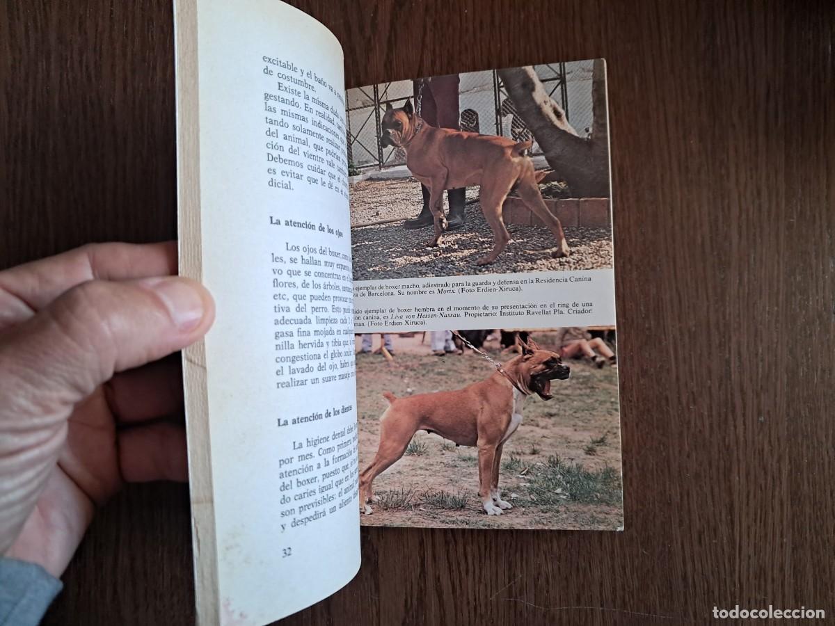 Libros de segunda mano: libro usado, El boxer, Philippe Rubin, editorial De Vecchi. a&ntilde;o 1981. - Foto 3