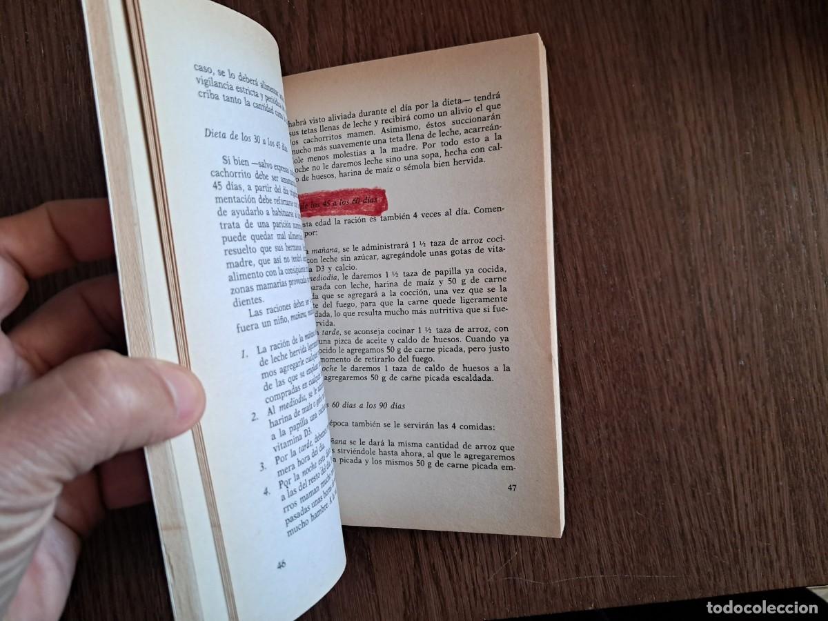 Libros de segunda mano: libro usado, El boxer, Philippe Rubin, editorial De Vecchi. a&ntilde;o 1981. - Foto 4
