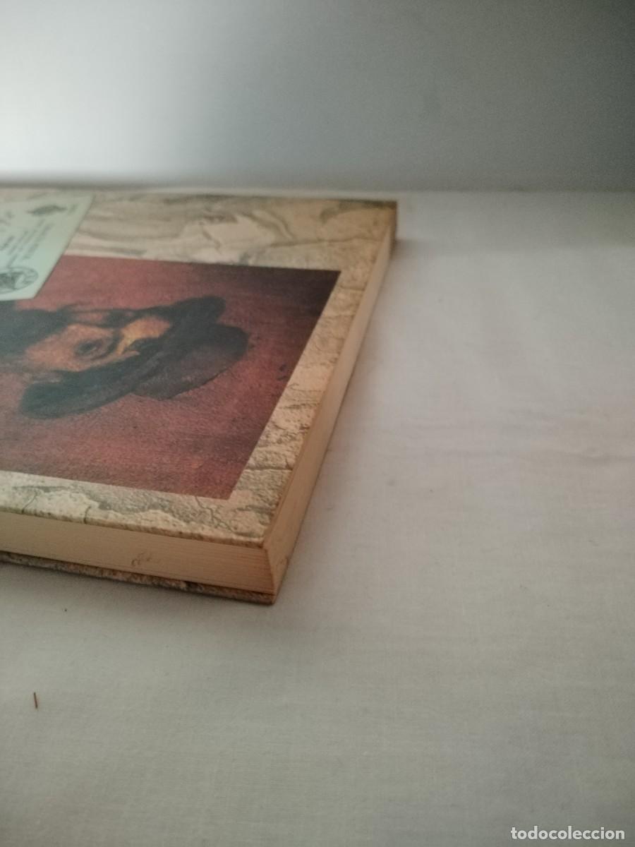 Libros de segunda mano: Dar&iacute;o de Regoyos (Sus cartas in&eacute;ditas) - Foto 5