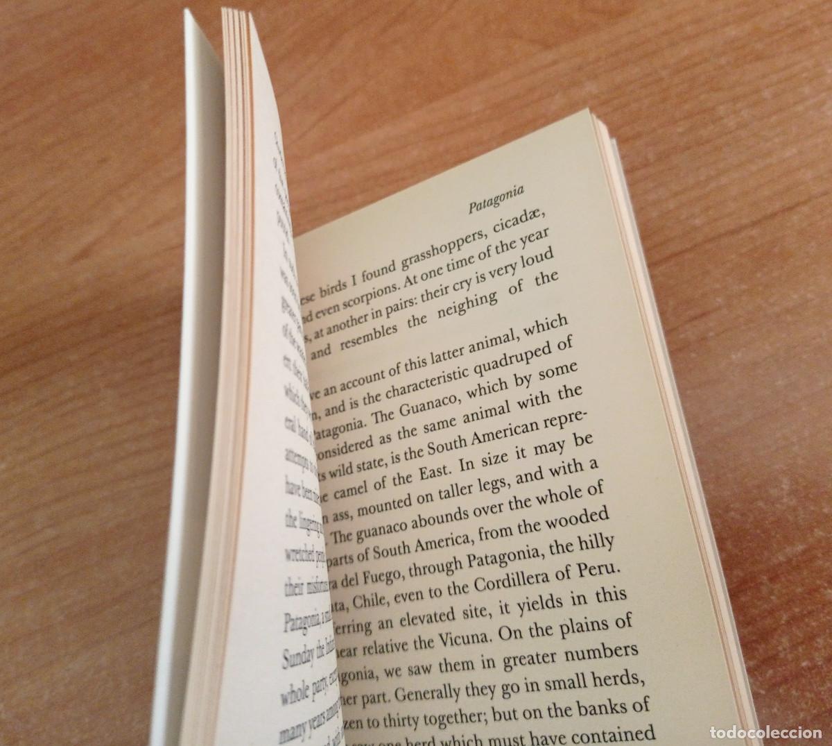 Libros de segunda mano: It was snowing butterflies - Charles Darwin - Penguin Classics n&ordm; 67 - Foto 2