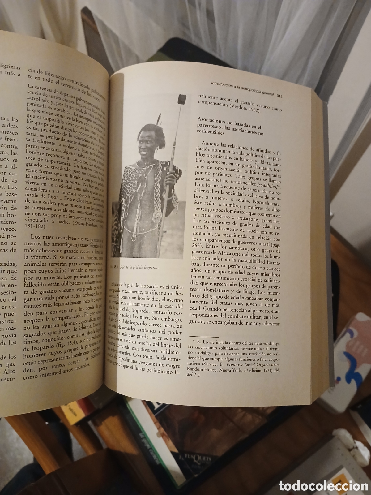 Libros de segunda mano: Introducci&oacute;n a la antropolog&iacute;a general, Marvin Harris - Foto 3