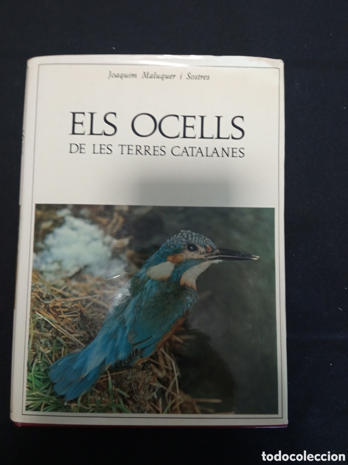 Libros de segunda mano: ELS OCELLS DE LES TERRES CATALANES - Foto 1