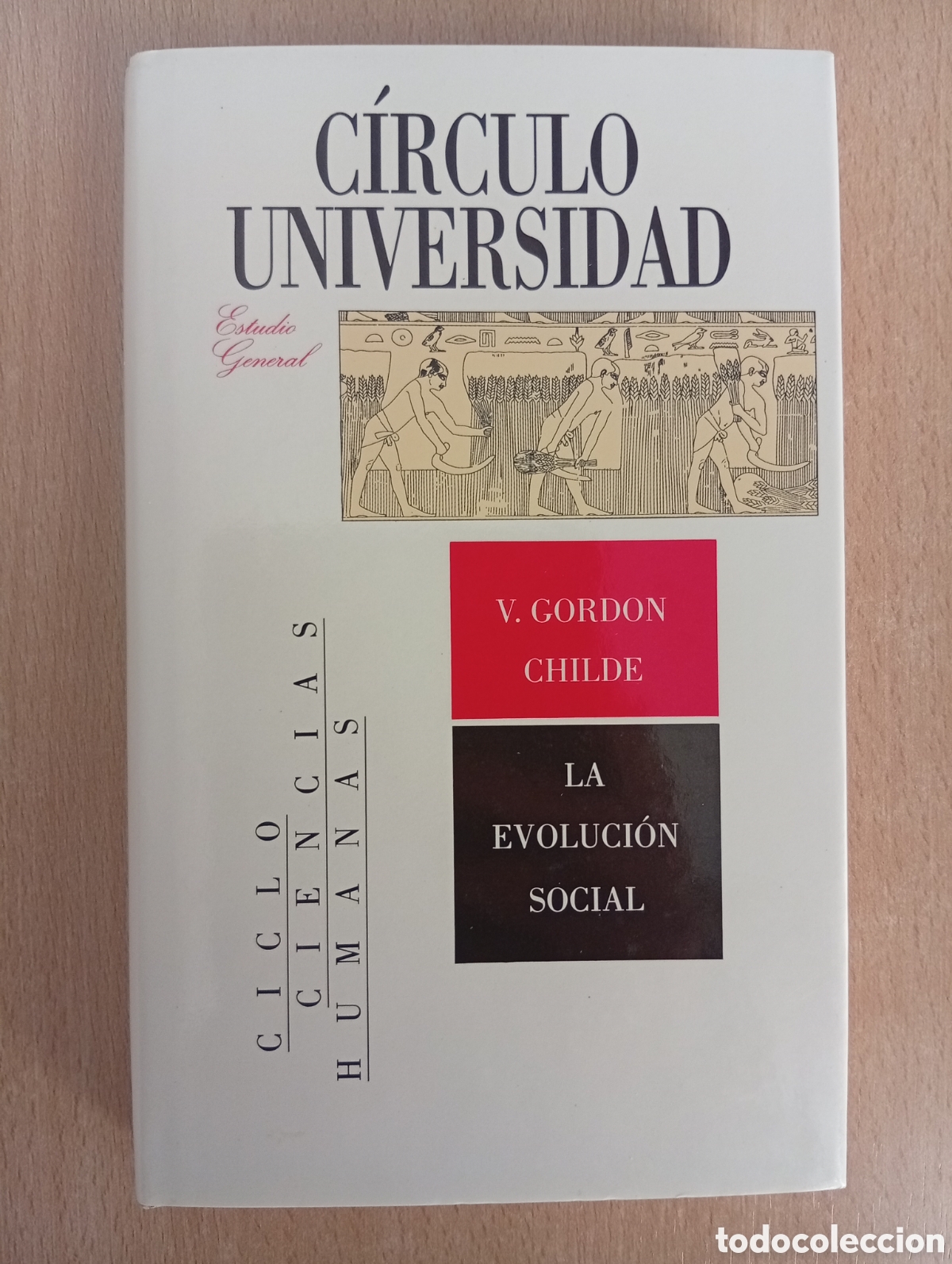 Libros de segunda mano: LA EVOLUCI&Oacute;N SOCIAL. V. GORDON CHILDE. C&iacute;rculo de Lectores - Foto 1