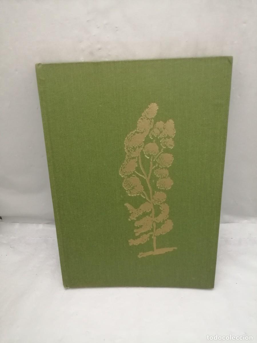 Second hand books: Luis Borobio: Mi &aacute;rbol (Primera edici&oacute;n, tapa dura sin sobrecubierta)