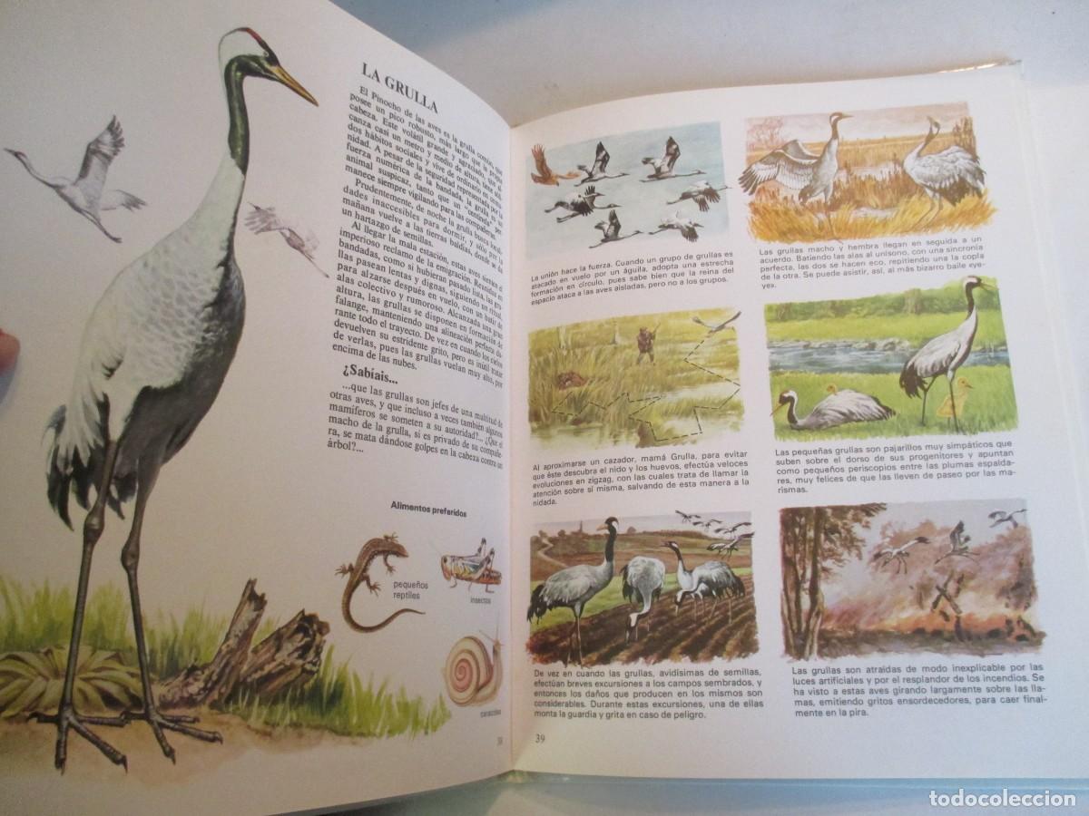 Libros de segunda mano: Vida &iacute;ntima de los animales Del lago y del pantano W33910 - Foto 3