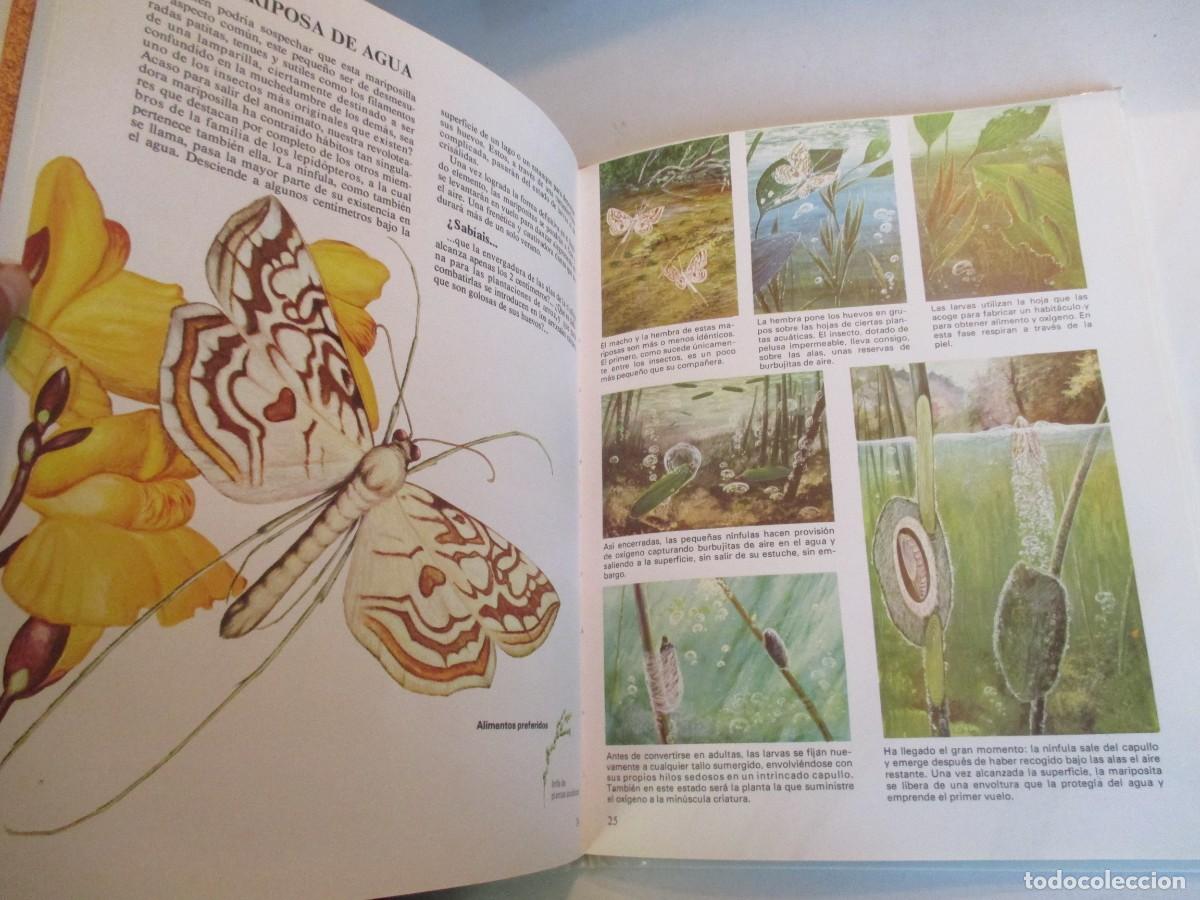 Libros de segunda mano: Vida &iacute;ntima de los animales Del lago y del pantano W33910 - Foto 4
