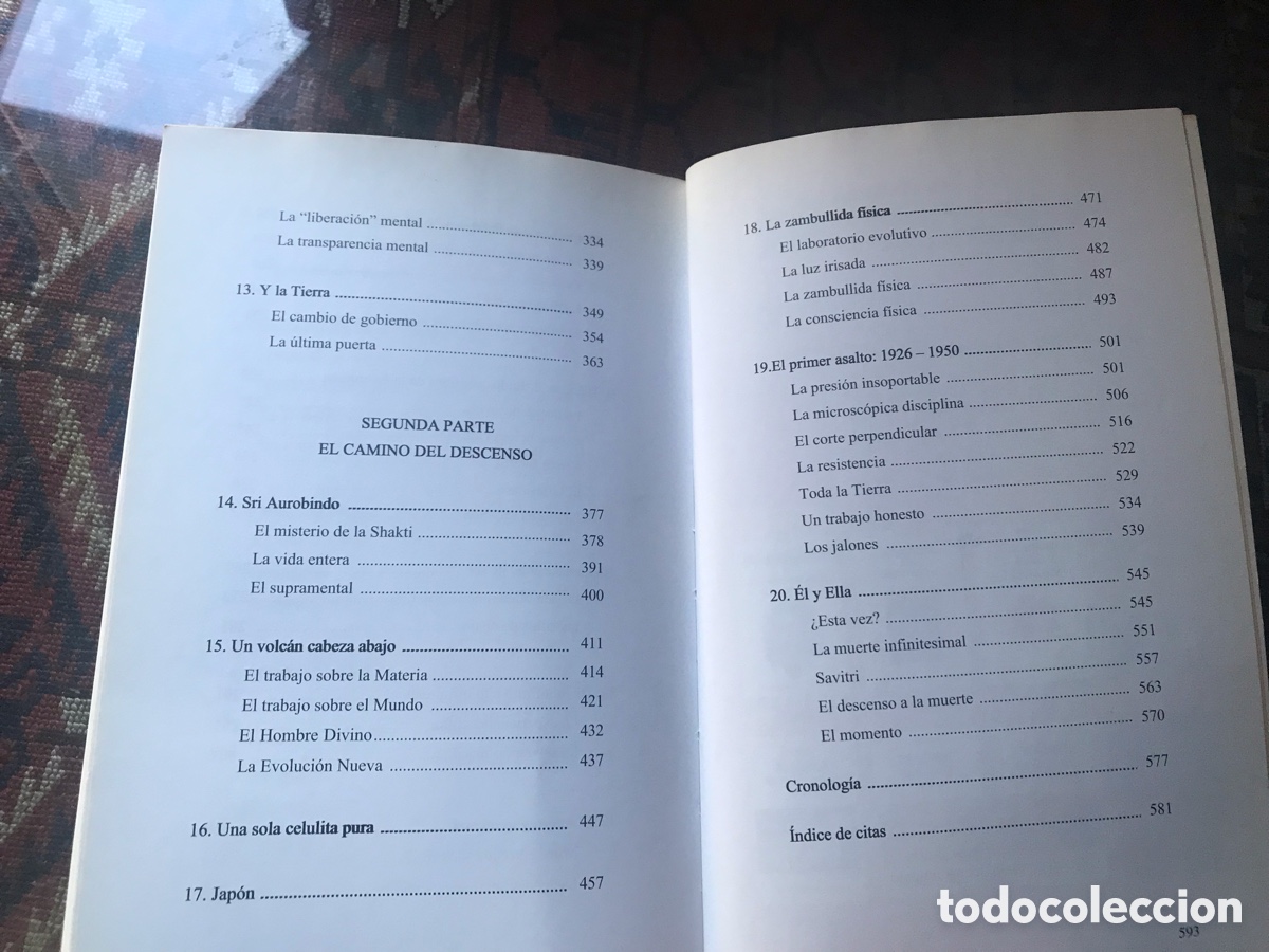 Libros de segunda mano: Madre. El materialismo divino. Satprem. - Foto 7