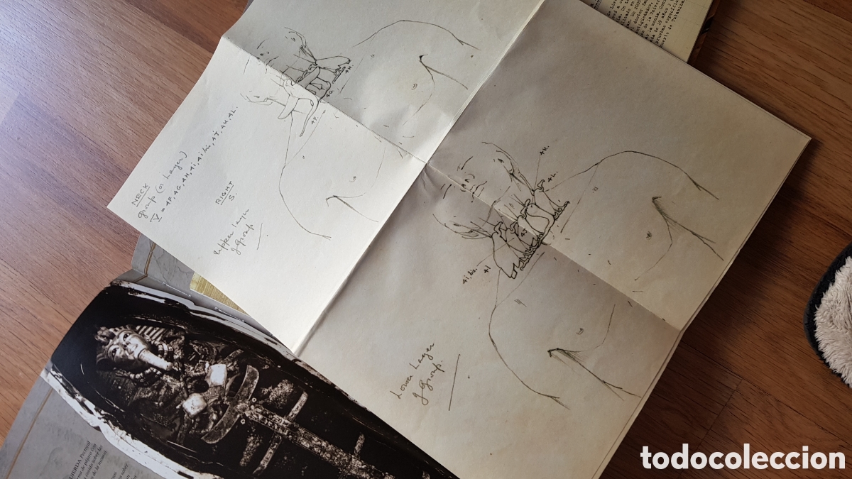Libros de segunda mano: Los tesoros de Tutankam&oacute;n. Jaromir malek - Foto 6