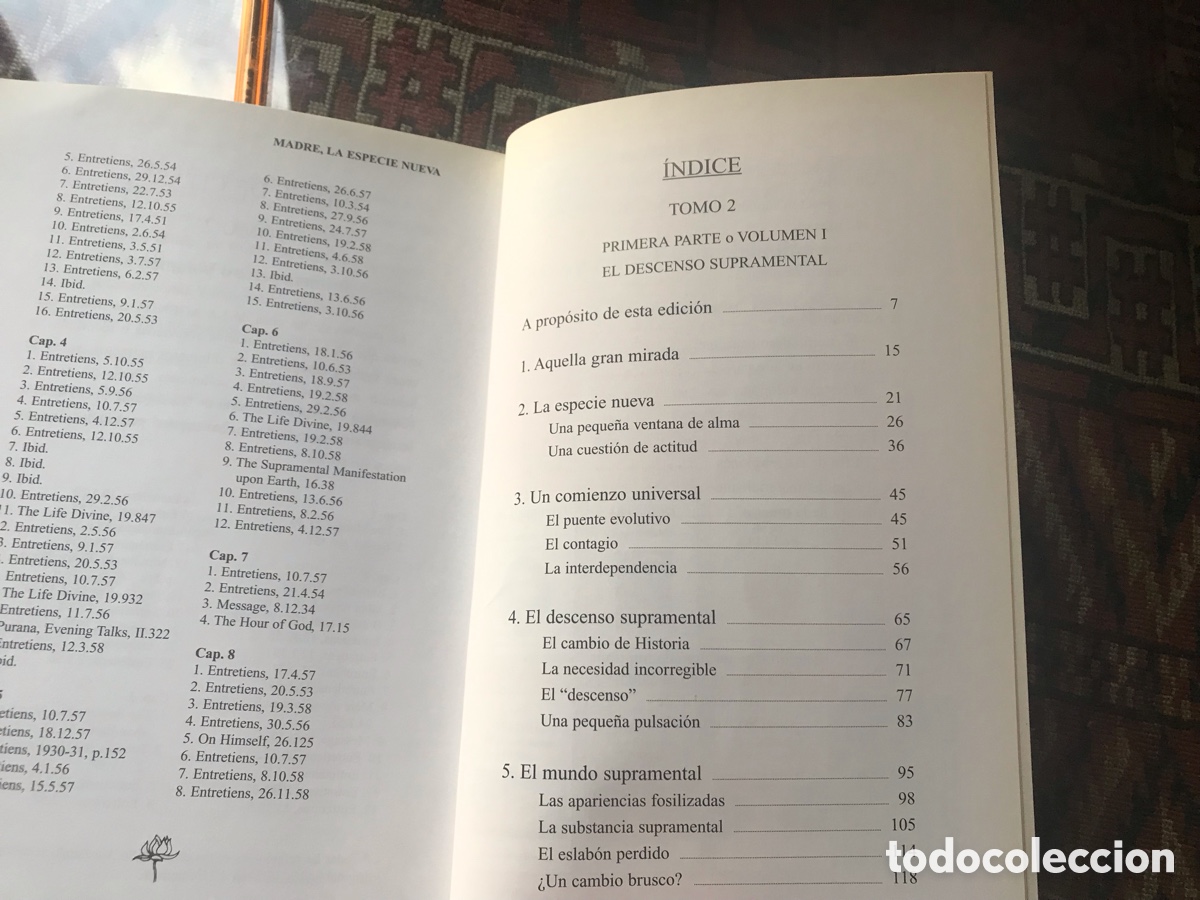 Libros de segunda mano: Madre. La especie nueva I. Satprem. - Foto 5