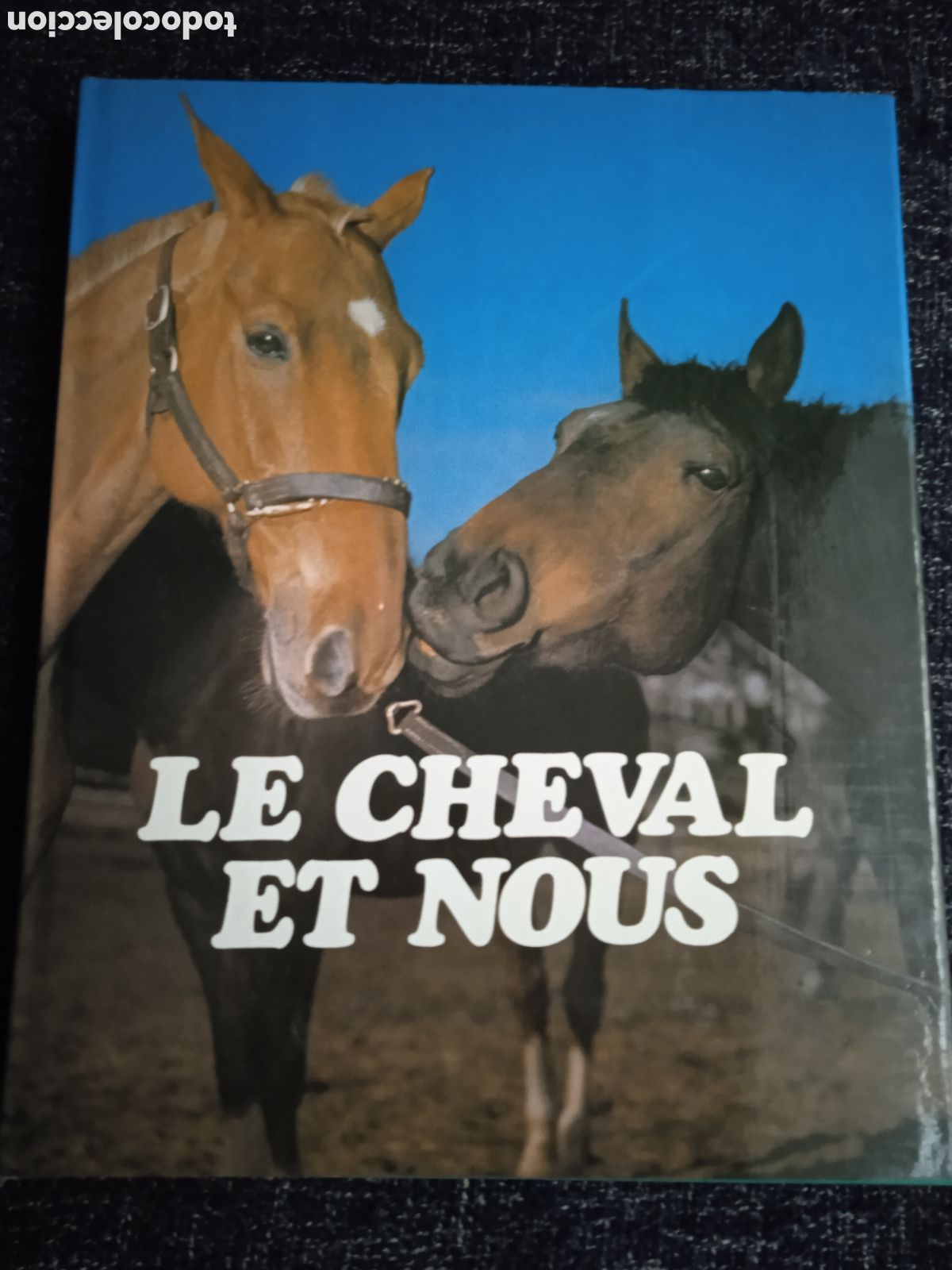 Second hand books: Le cheval et nous / Philippe de Wailly -ED. Solar, 1981 -LIBRO CABALLOS EDICION EN FRANCES