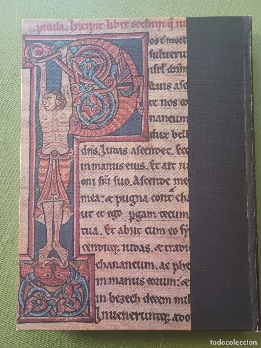 Libros de segunda mano: LA BIBLIA EN LOS CODICES DE ESPA&Ntilde;A - PILAR DE MIGUEL - Foto 2