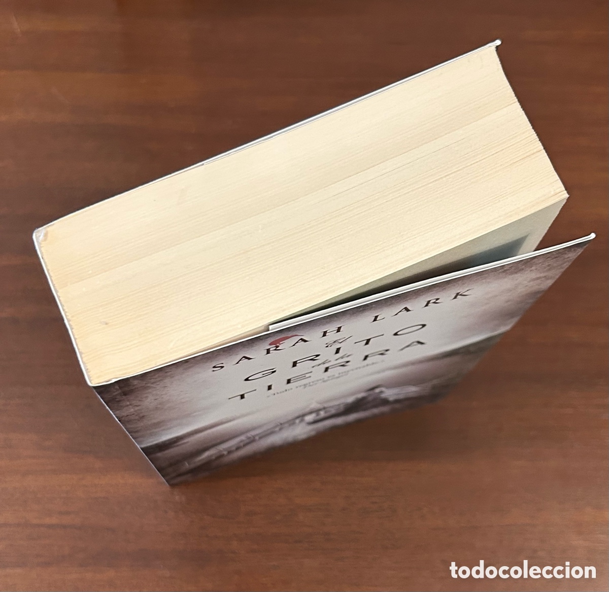 Libros de segunda mano: EL GRITO DE LA TIERRA. SARA LARK. EDICIONES B. 1a. EDICI&Oacute;N - Foto 3