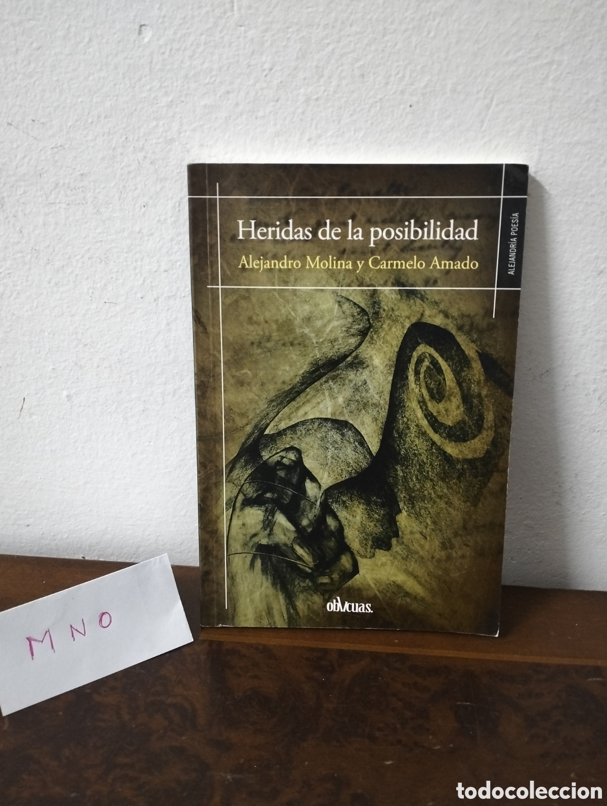 Libros de segunda mano: Alejandro Molina y Carmelo Amado - heridas de la posibilidad - ediciones oblicuas 2015