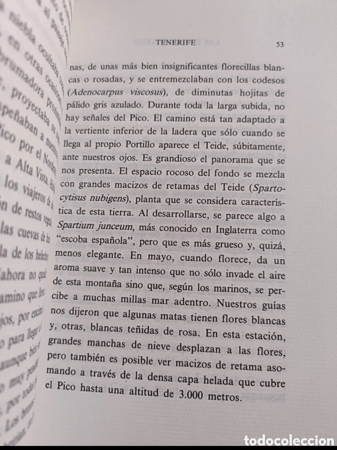 Libros de segunda mano: Las Islas Canarias. Ella Du Cane - Foto 5