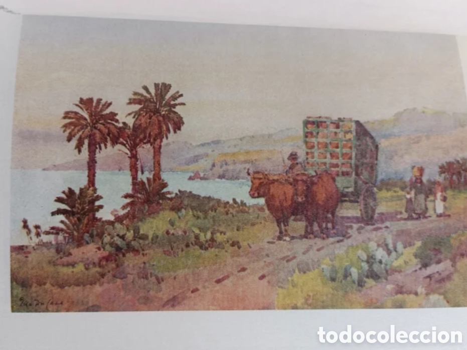 Libros de segunda mano: Las Islas Canarias. Ella Du Cane - Foto 7