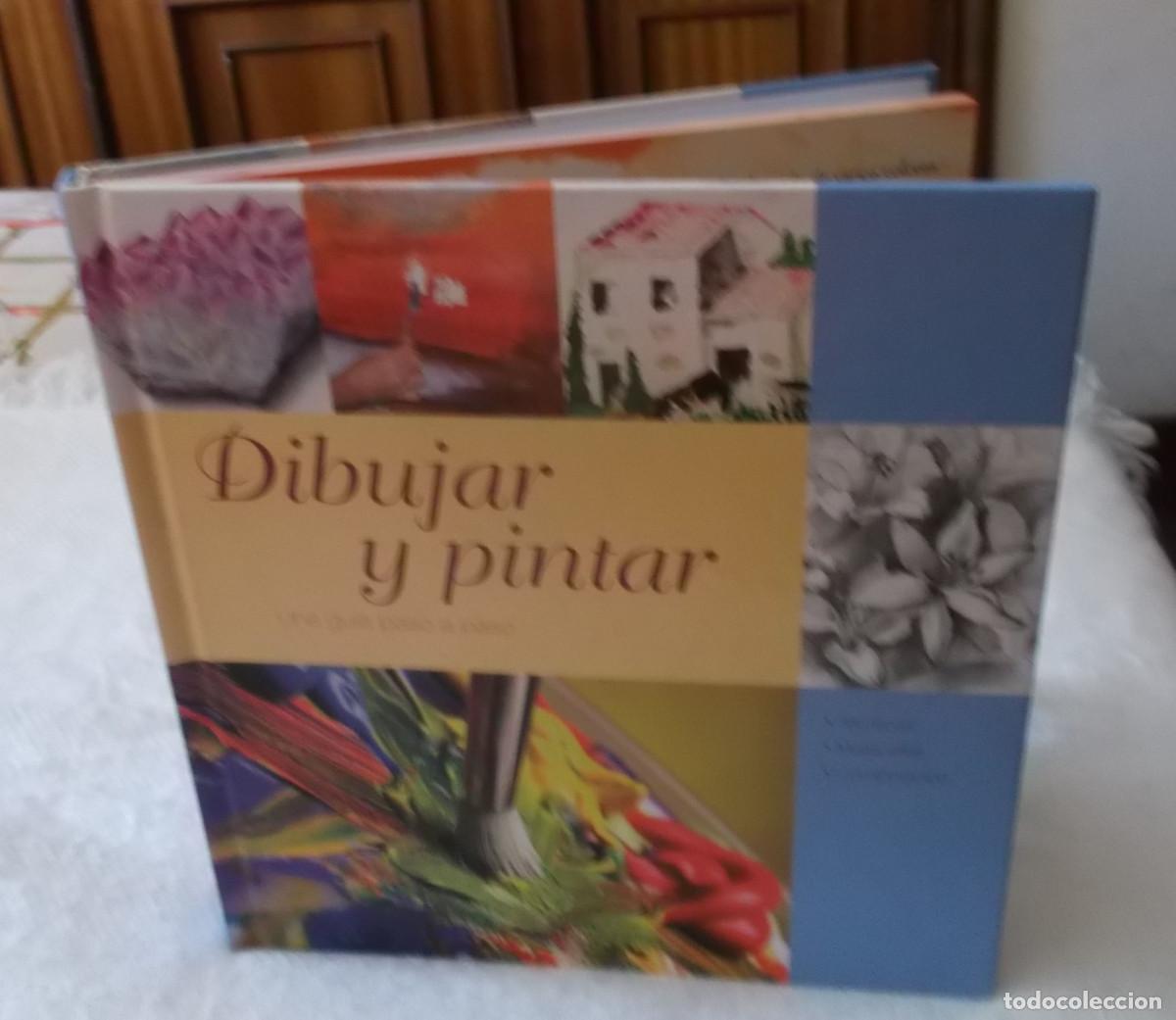 Libros de segunda mano: Dibujar y pintar una guia paso a paso