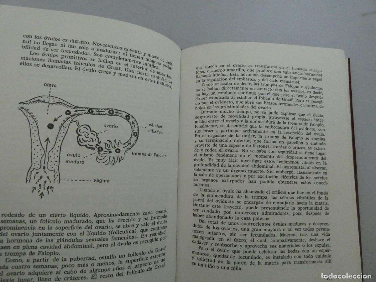 Libros de segunda mano: LIBRO ESCUELA DEL AMOR Y DEL MATRIMONIO POR Dr O. KARSTEN - Foto 2