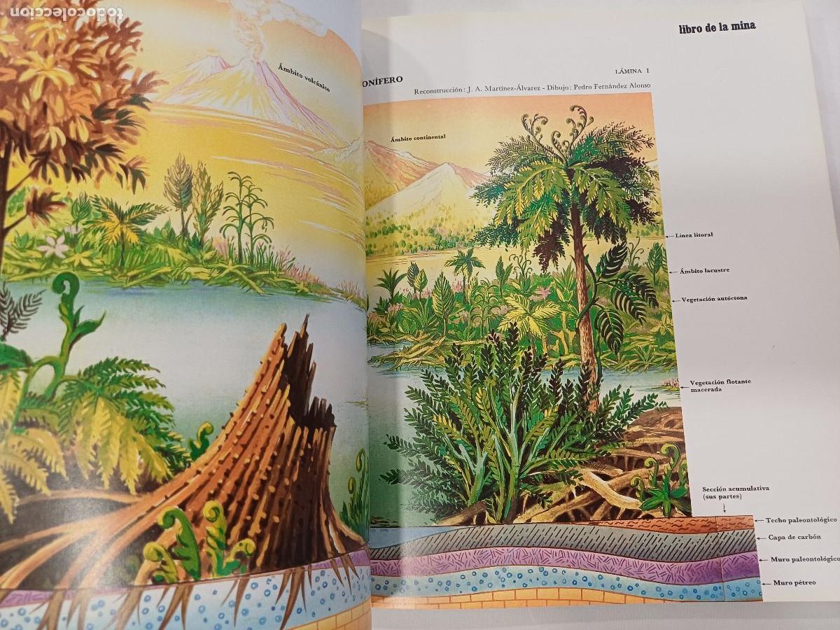 Libros de segunda mano: LIBRO DE LA MINA/MASES EDICIONES. - Foto 11