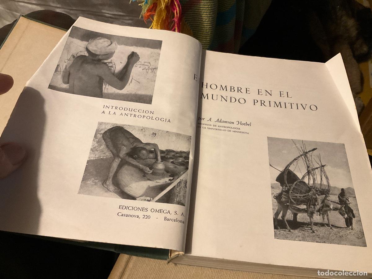 Libros de segunda mano: EL HOMBRE EN EL MUNDO PRIMITIVO / E. ADAMSON HOEBEL - Foto 3
