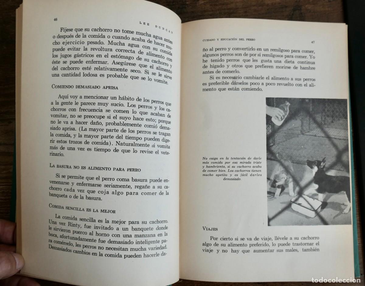 Libros de segunda mano: CUIDADO Y EDUCACION DEL PERRO - LEE DUCAN -1961 - Foto 5