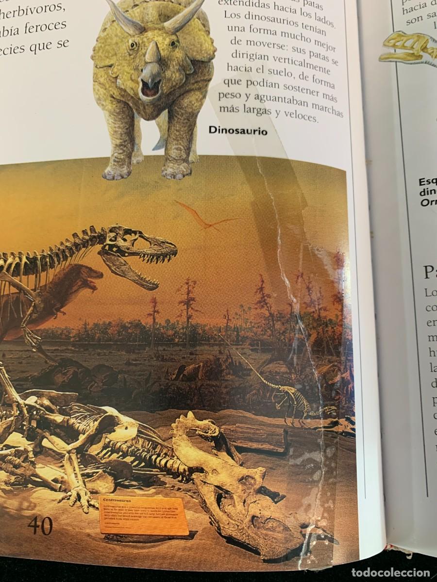 Libros de segunda mano: LIBROS; LA ENCICLOPEDIA DE LOS DINOSAURIOS - Foto 4