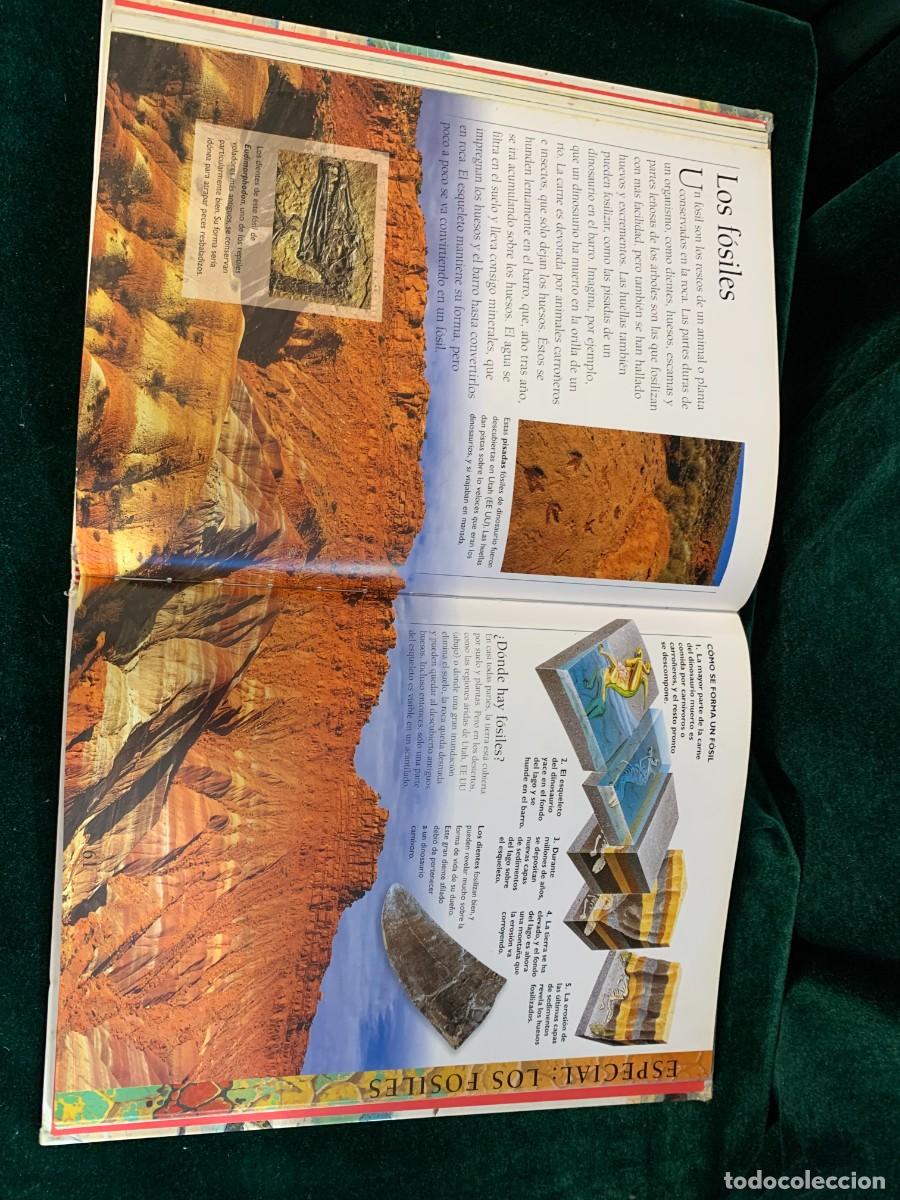 Libros de segunda mano: LIBROS; LA ENCICLOPEDIA DE LOS DINOSAURIOS - Foto 5
