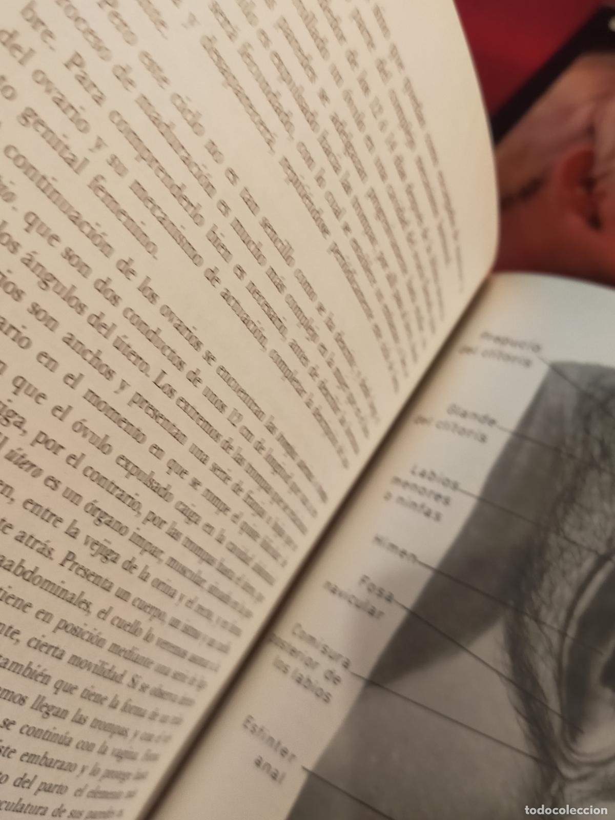 Libros de segunda mano: EL LIBRO DE LA VIDA SEXUAL - DANAE. - Foto 6