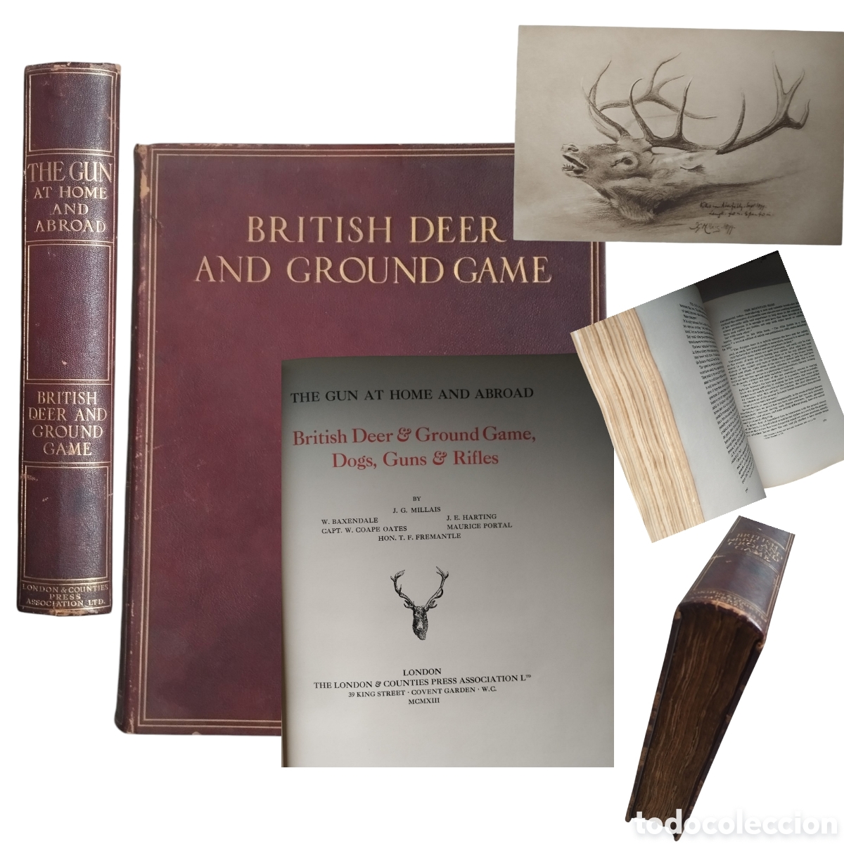 Livros em segunda m&atilde;o: BRITISH DEER AND GROUND GAME . The Gun at Home and Abroad