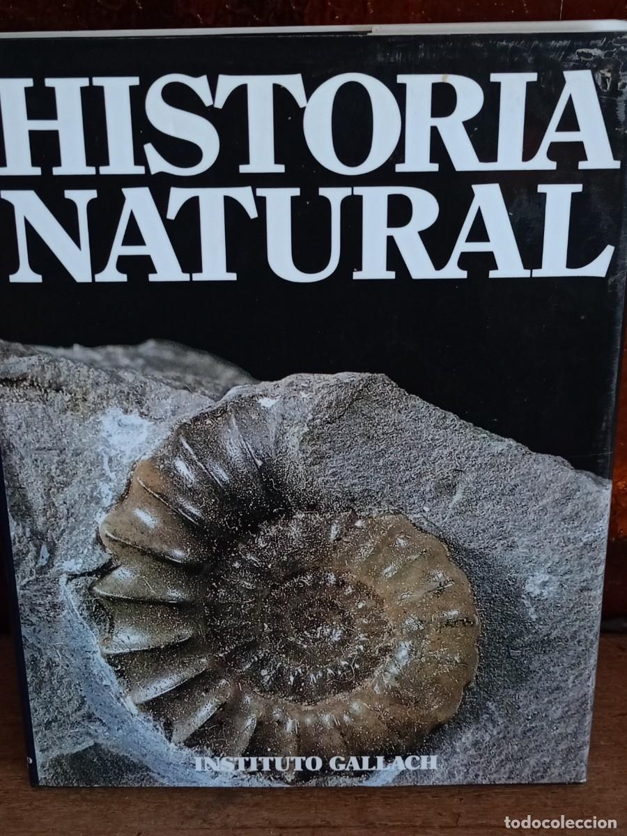 Libros de segunda mano: LOTE LIBROS DE HISTORIA - Foto 2