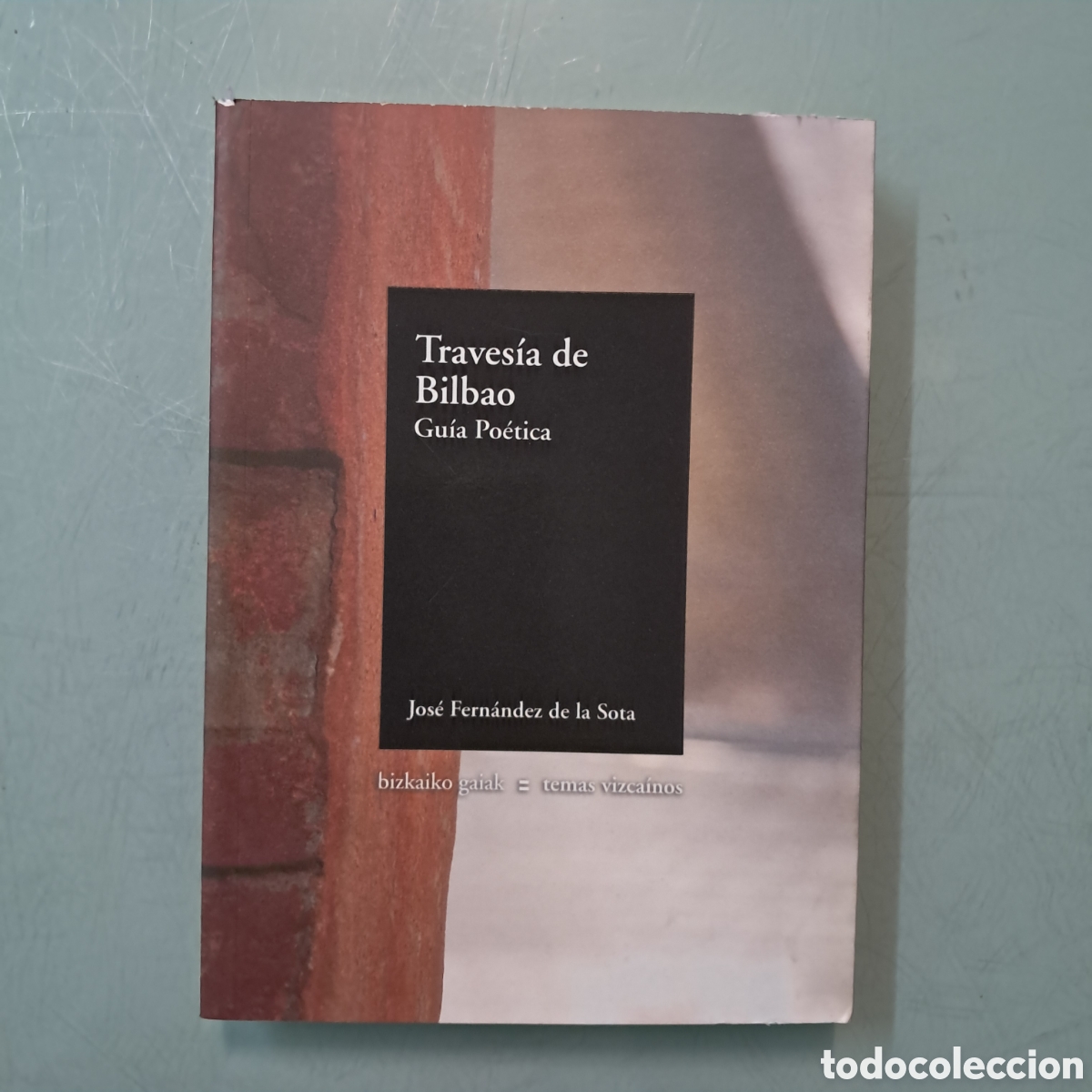 Libros de segunda mano: Temas vizca&iacute;nos, BBK ,Travesia de Temas VIZCA&Iacute;NOS - Foto 1