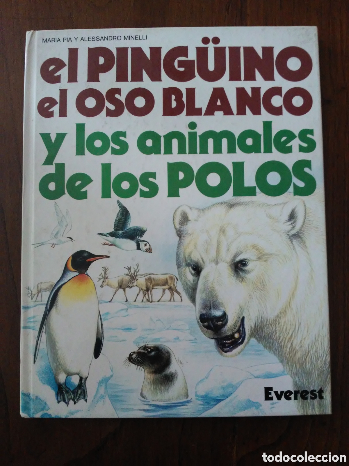 Libri di seconda mano: El ping&uuml;ino, el oso blanco y los animales de los polos / Pia y Minelli / Ed. Everest en Le&oacute;n 1991
