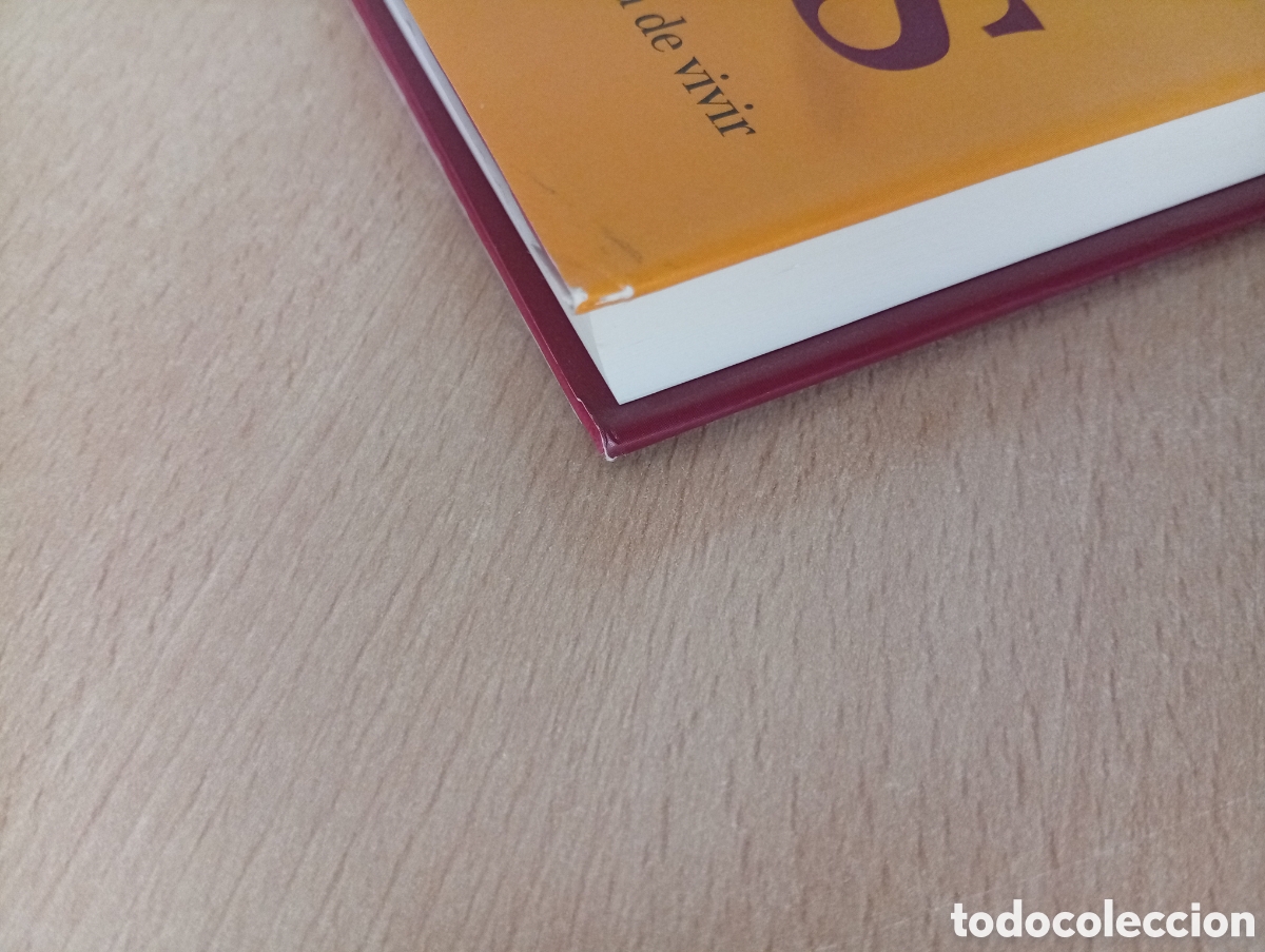 Libros de segunda mano: SOLAS. Carmen Alborch. C&iacute;rculo de Lectores - Foto 3