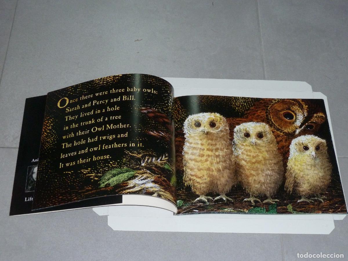 Libros de segunda mano: Libro. Owl babies de Martin Waddell y Patrick Benson. Walker books - Foto 3