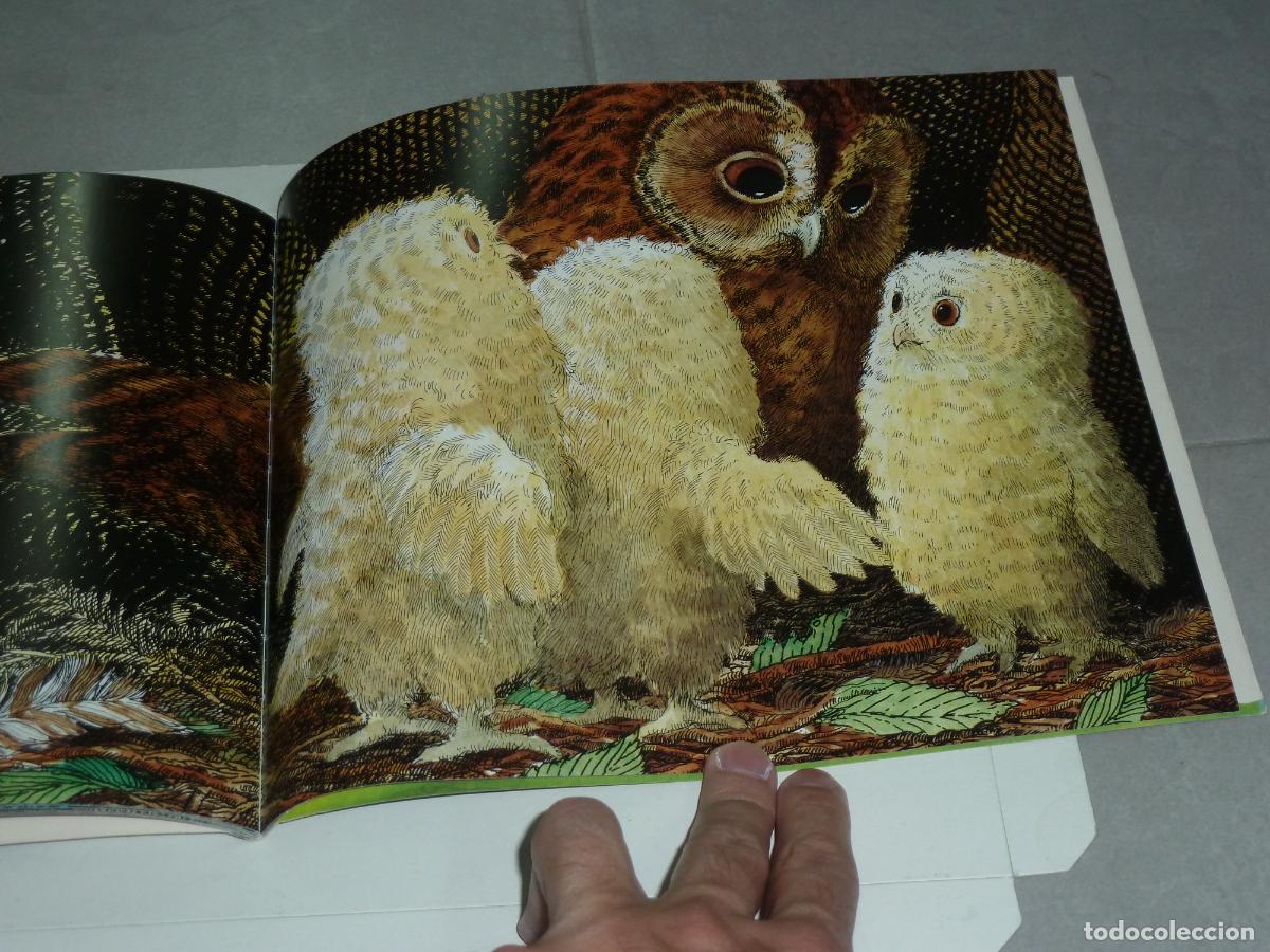 Libros de segunda mano: Libro. Owl babies de Martin Waddell y Patrick Benson. Walker books - Foto 6