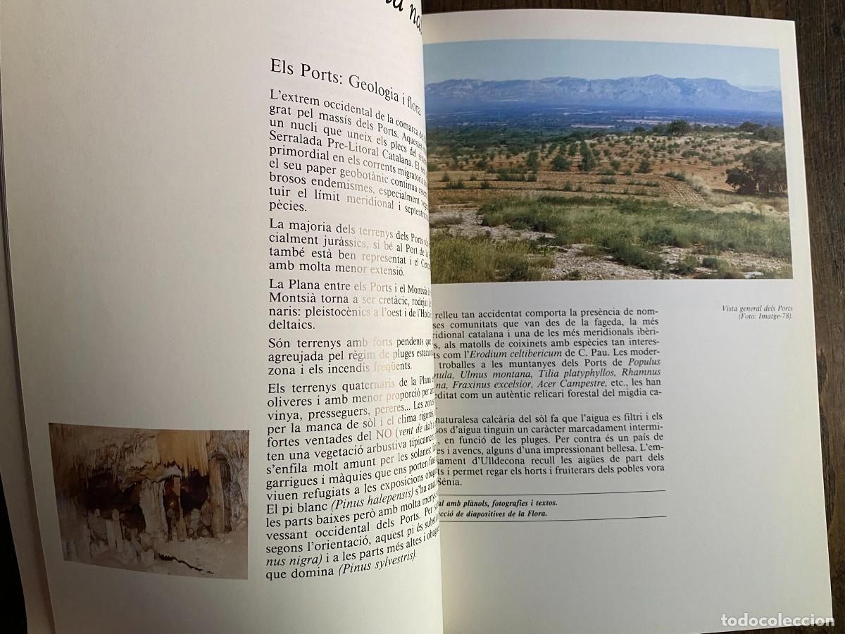 Libros de segunda mano: GUIA DEL MUSEU DEL MONTSI&Agrave; - AMPOSTA 1986 - Foto 3