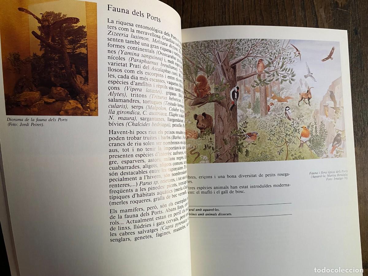 Libros de segunda mano: GUIA DEL MUSEU DEL MONTSI&Agrave; - AMPOSTA 1986 - Foto 4