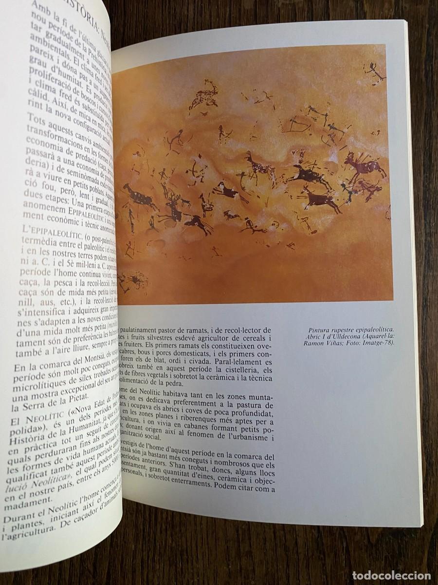 Libros de segunda mano: GUIA DEL MUSEU DEL MONTSI&Agrave; - AMPOSTA 1986 - Foto 5