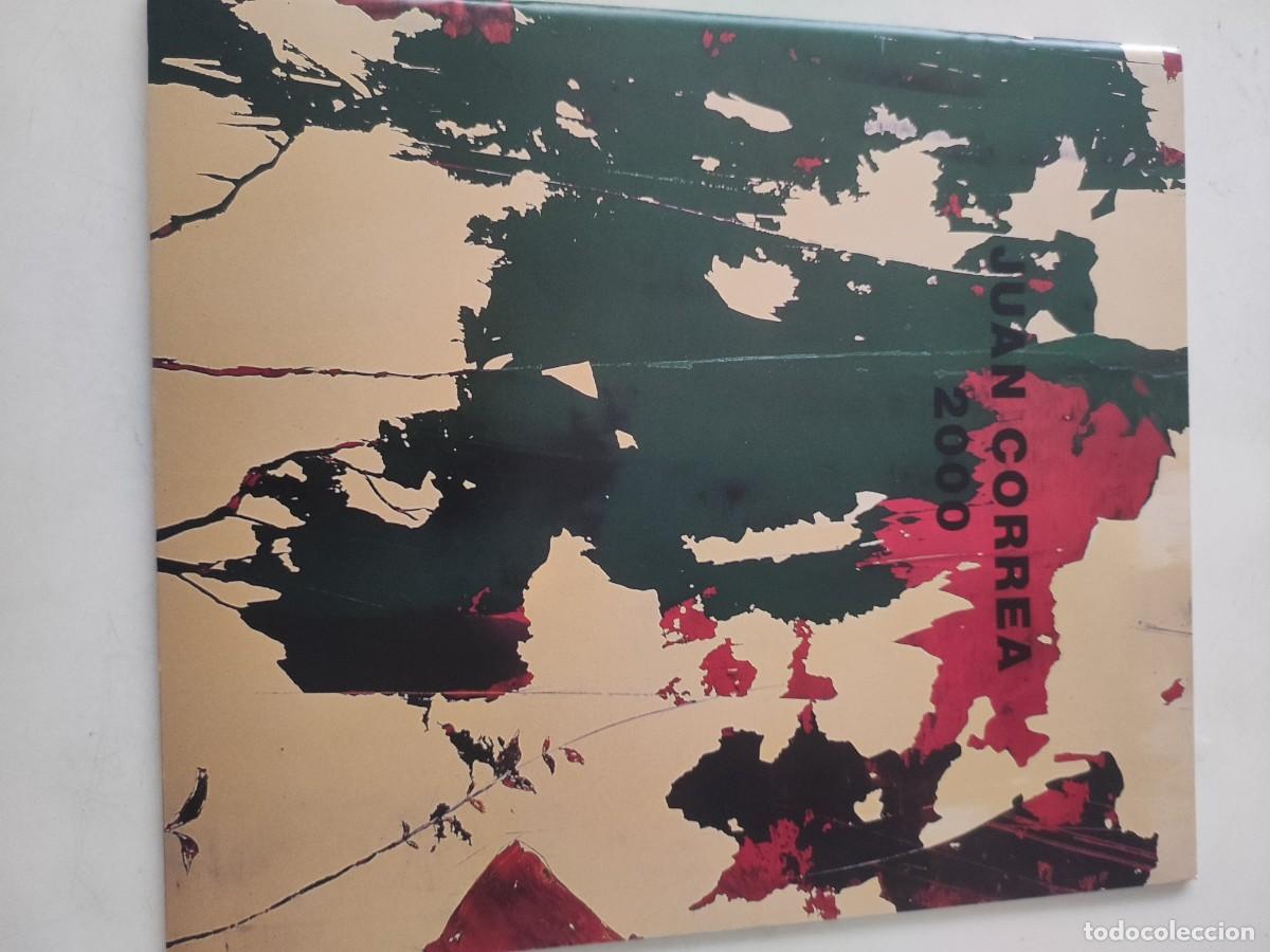 Libros de segunda mano: Juan Correa. 2000. Pinturas - Foto 1