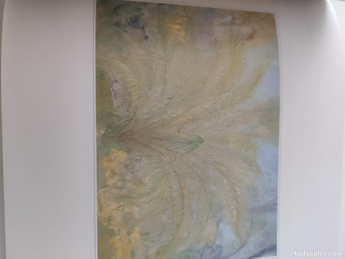 Libros de segunda mano: Claudio D&iacute;az. Pinturas. - Foto 4