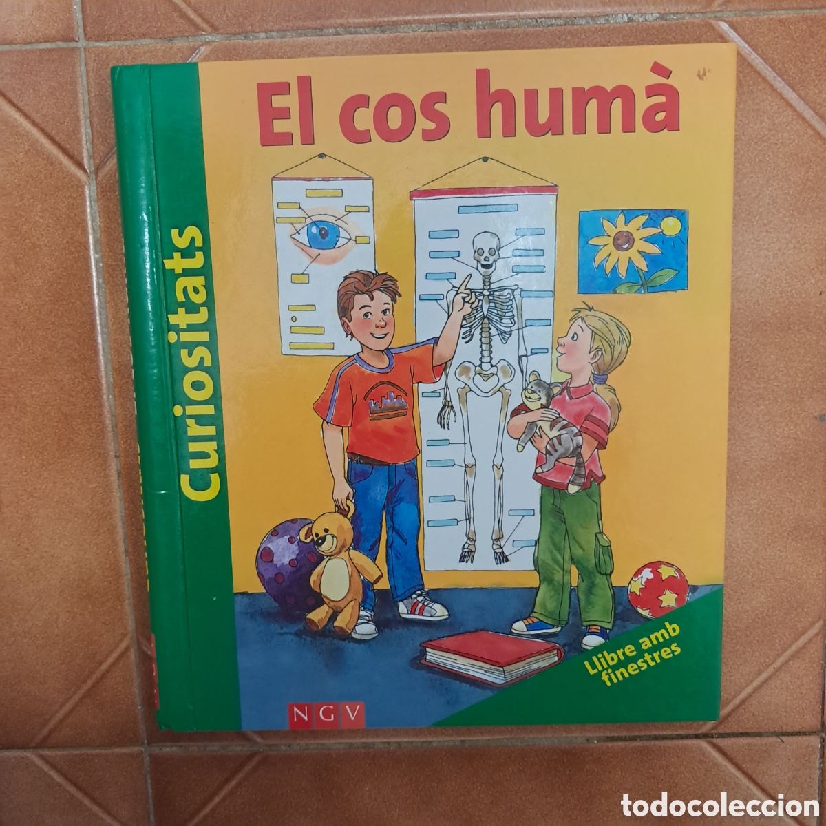 Libros de segunda mano: El cos hum&agrave; CURIOSITATS amb finestres POP UP - en catal&agrave; - Foto 1