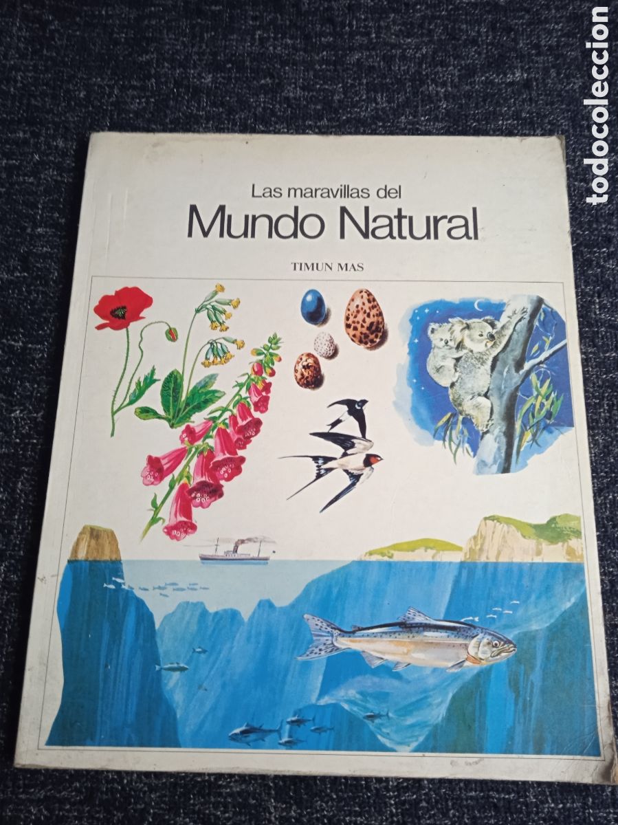 Libros de segunda mano: LAS MARAVILLAS DEL MUNDO NATURAL / MARY REFOY -ILUSTRACIONES: PIERRE PROBST -ED. TIMUN MAS