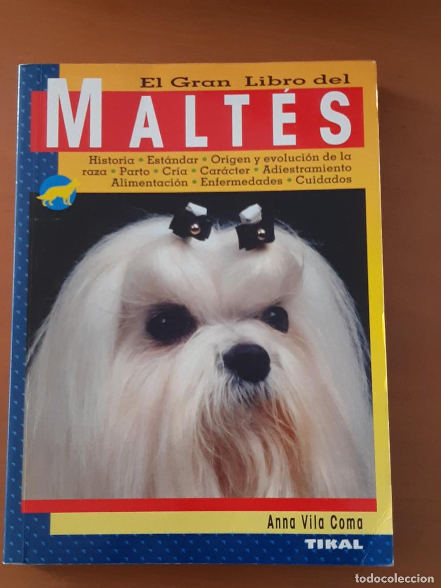 Libros de segunda mano: EL GRAN LIBRO DEL MALTES. VILA COMA, ANNA. TIKAL. - Foto 1