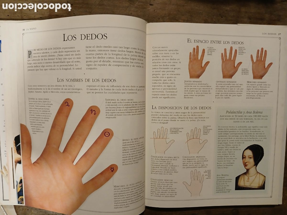 Libros de segunda mano: El Arte de leer la mano. Lori Reid. - Foto 7